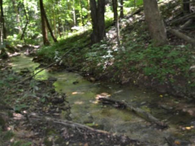 Land for sale in Tennessee