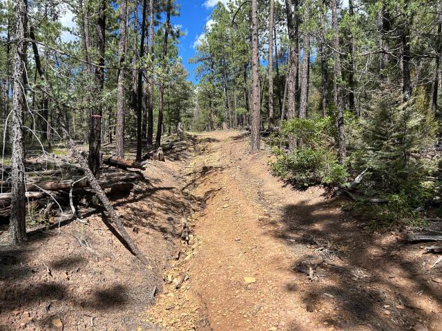Land for sale in Pecos, New Mexico