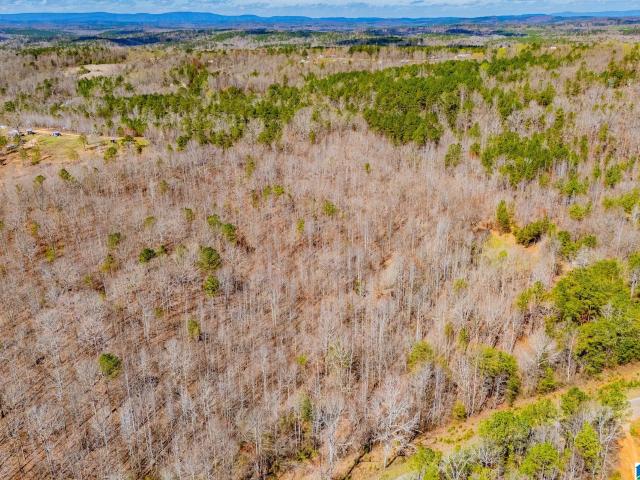 Land for sale in Wedowee, Alabama