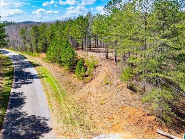 Land for sale in Wedowee, Alabama