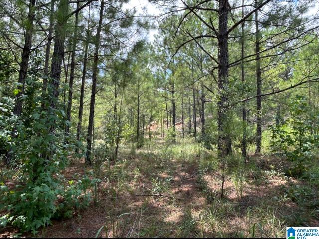 Land for sale in West Blocton, Alabama