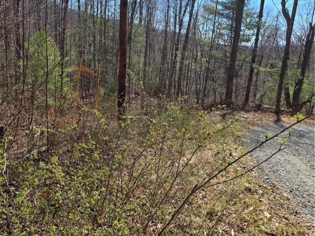 Land for sale in Avery, North Carolina