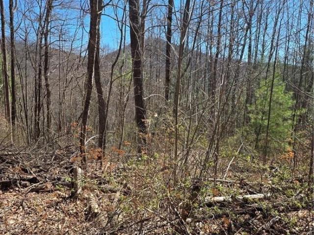 Land for sale in Newland, Avery County