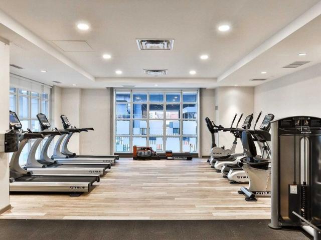 Apartment for rent in Spadina—Fort York, Toronto