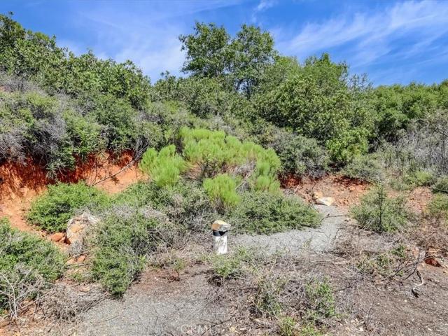 Land for sale in Brownsville, California