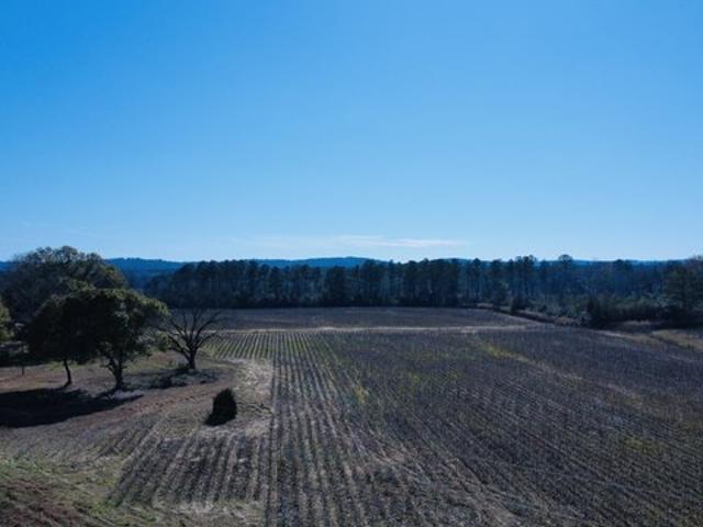 Land for sale in New Brockton, Alabama