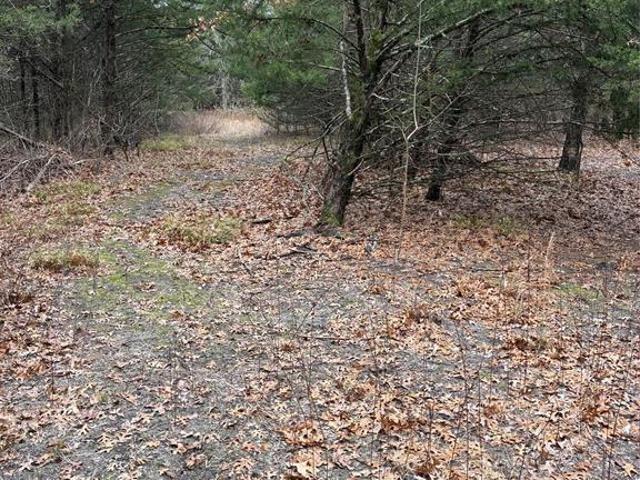 Land for sale in Fannin, Texas