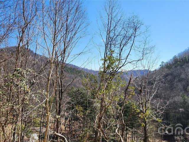 Land for sale in Fairview, North Carolina