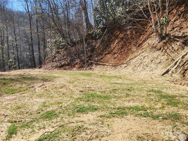 Land for sale in Fairview, North Carolina