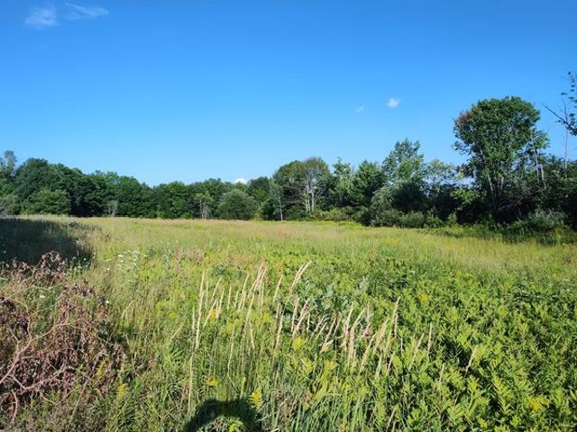 Land for sale in Saint Albans, Maine