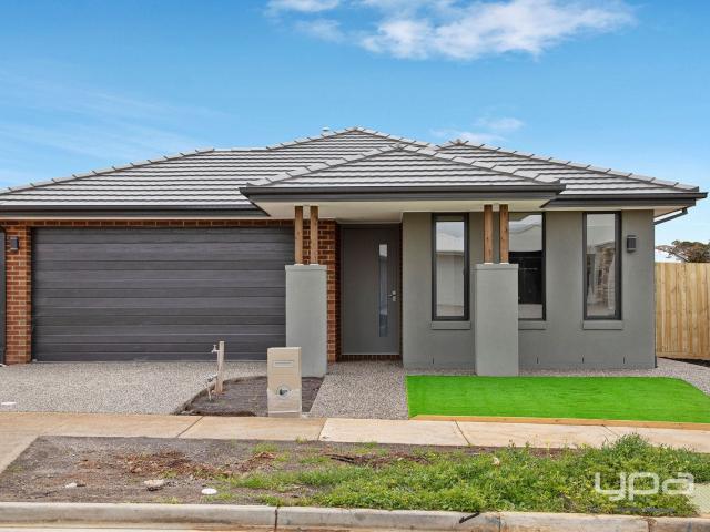 House for rent in Thornhill Park, Melbourne
