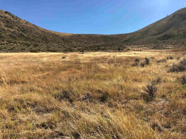 Land for sale in Loyalton, California