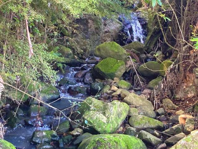 House for sale in Karangahake, Waikato