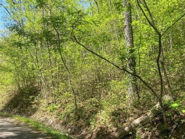 Land for sale in Cullowhee, North Carolina