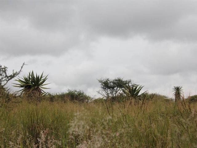 Land for sale in Seshego, Limpopo