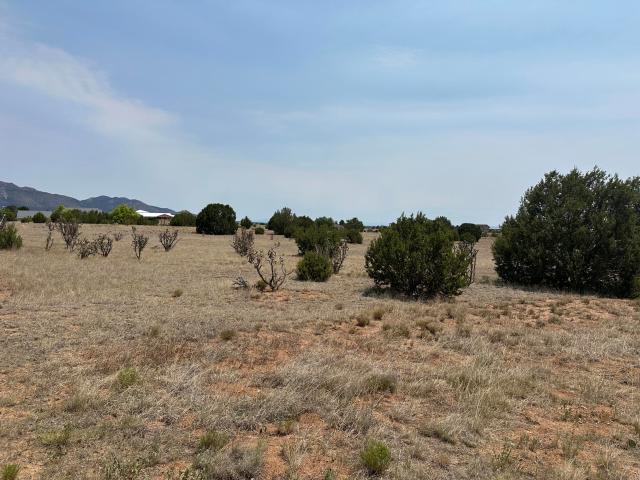 Land for sale in Edgewood, New Mexico