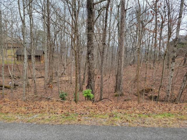 Land for sale in Tennessee
