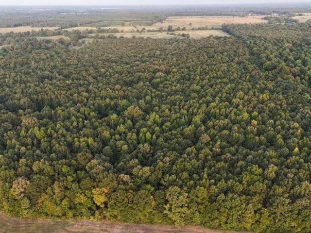 Land for sale in Ark