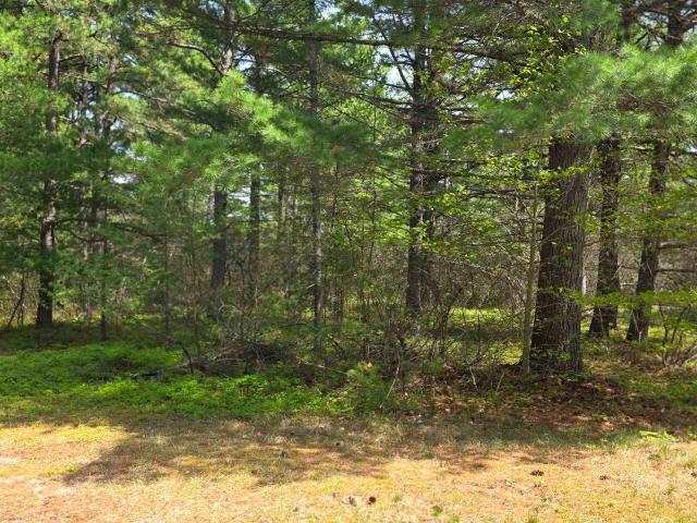 Land for sale in New Hampshire
