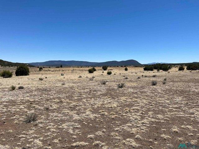 Land for sale in Aragon, Catron County