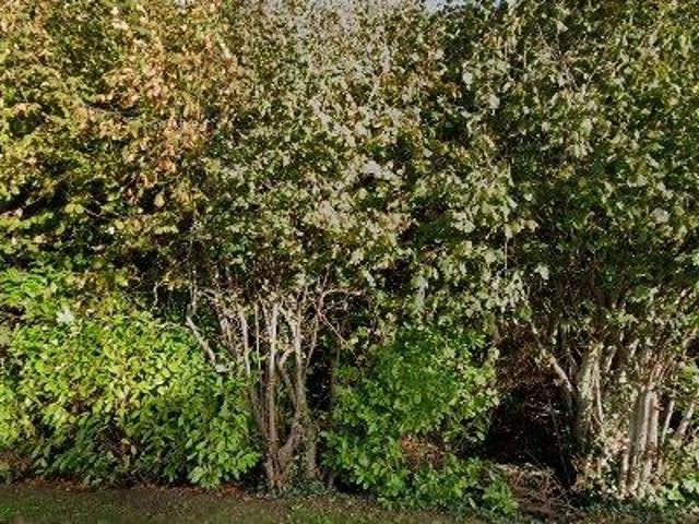Office for sale in Bluebell, North Tipperary