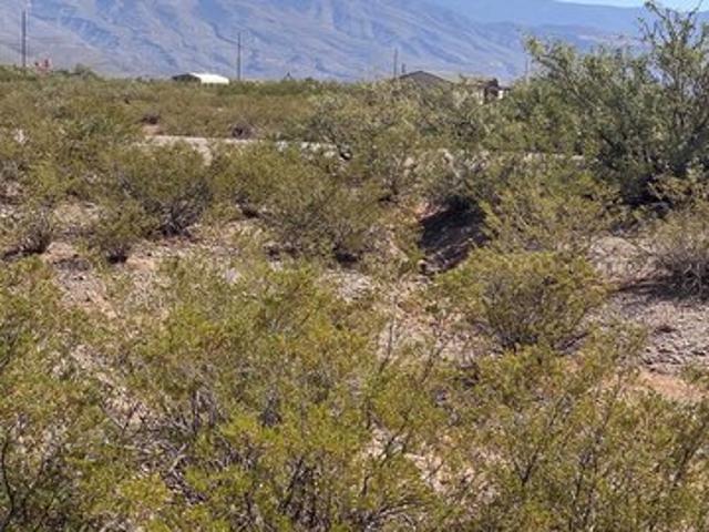 Land for sale in New Mexico