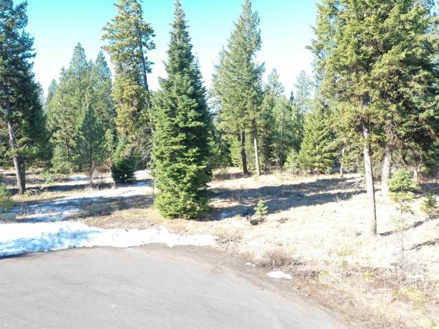 Land for sale in Mccall, Idaho