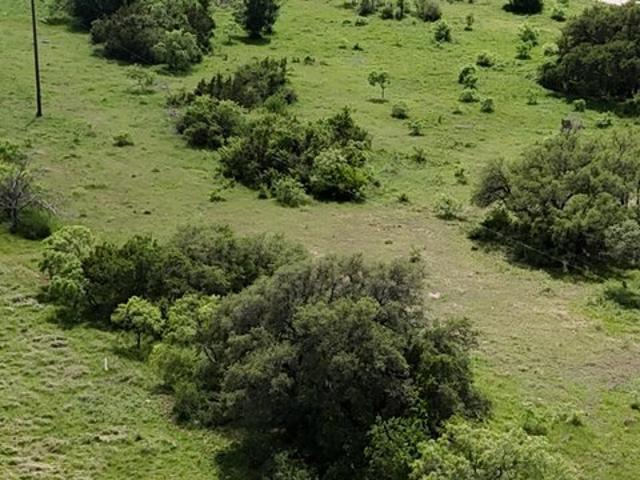 Land for sale in Gustine, Texas