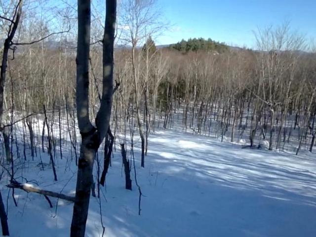 Land for sale in Ossipee, Carroll County