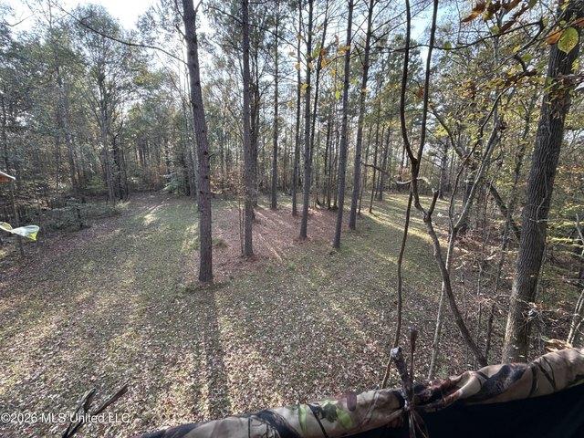Land for sale in Roxie, Mississippi