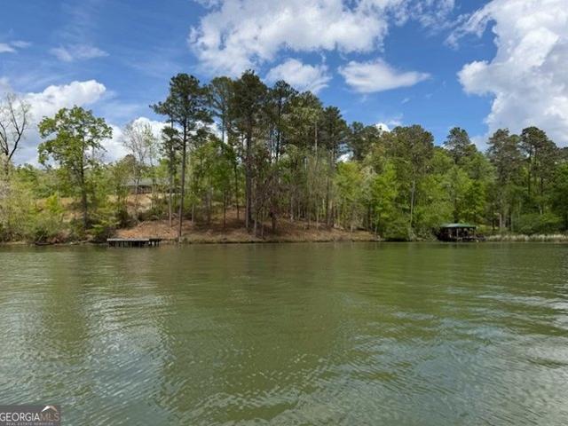 Land for sale in Sparta, Georgia