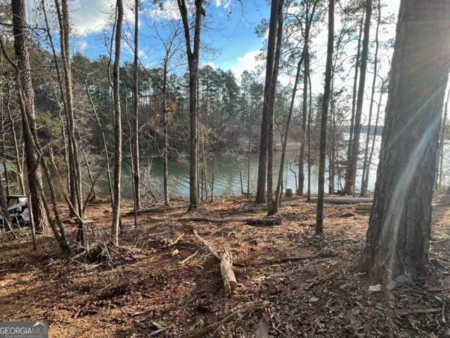 Land for sale in Sparta, Georgia