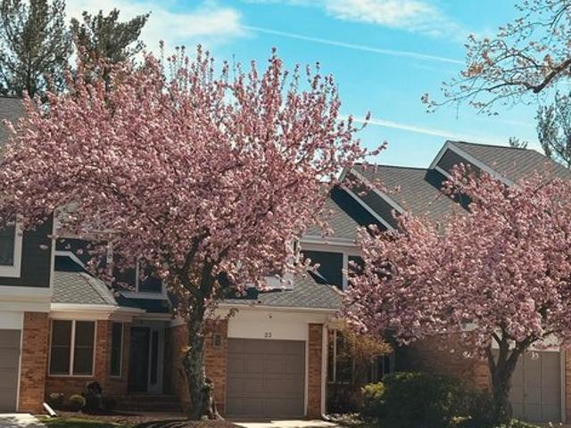Townhouse for sale in Pikesville, Maryland
