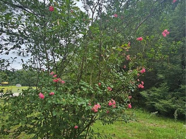 Land for sale in Parkton, North Carolina