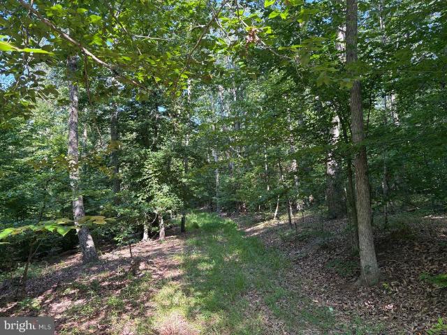 Land for sale in Virginia