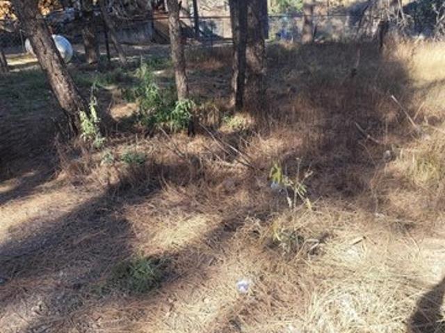 Land for sale in Mayhill, New Mexico