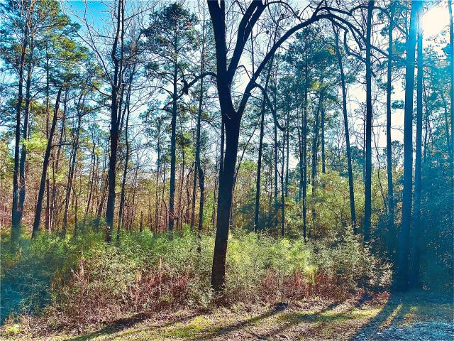 Land for sale in Coldspring, Texas