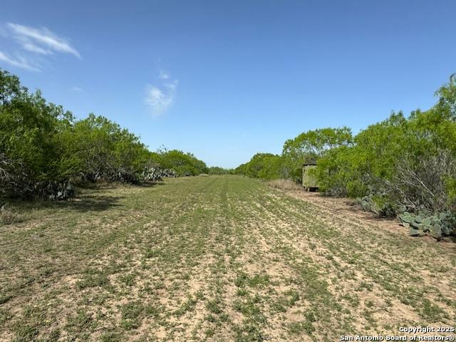 Land for sale in Jourdanton, Texas