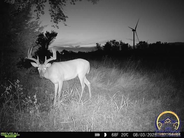 Land for sale in Kansas