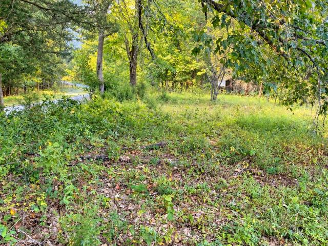 Land for sale in Princeton, Caldwell County