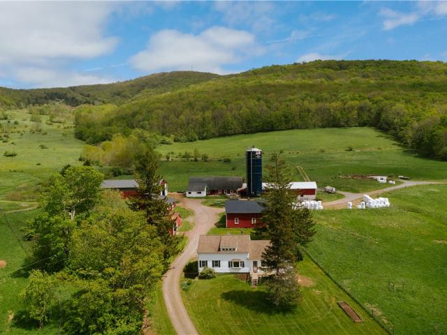 House for sale in Andes, New York