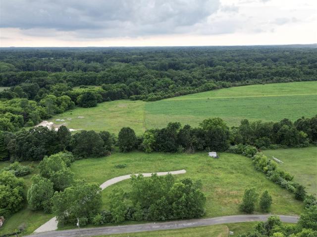 Land for sale in Dansville