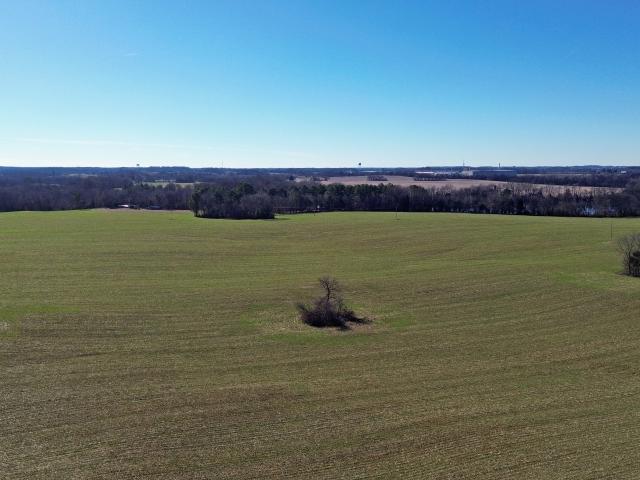 Land for sale in Simpson, Kentucky