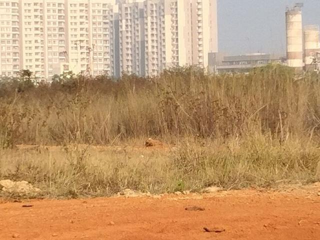Land for sale in Bhubaneshwar