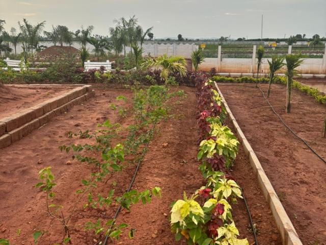 Land for sale in Vijayavada, Andhra Pradesh