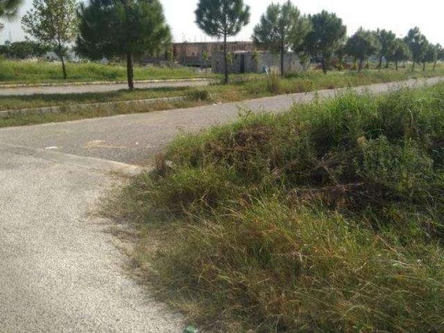 Land for sale in Islamabad