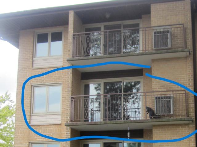Condo for sale in Park Ridge, Illinois