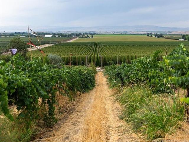 Farm for sale in Parma, Idaho