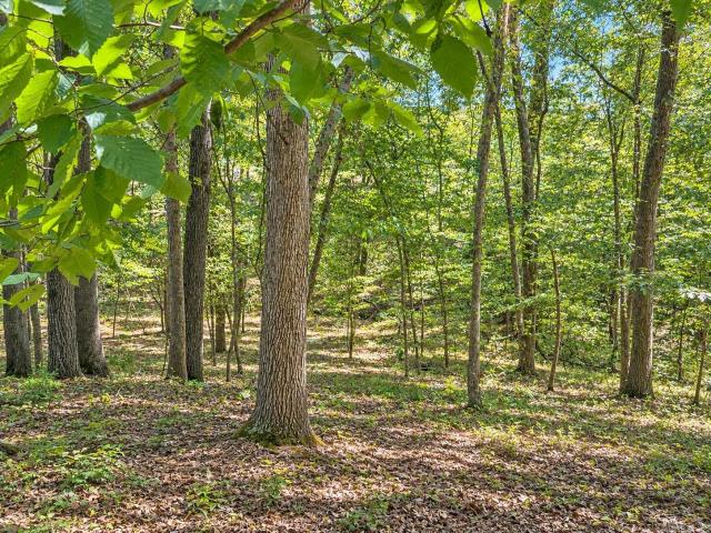 House for sale in Arkadelphia, Clark County