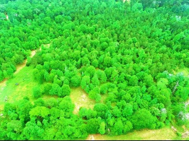 Land for sale in Liberty, Texas